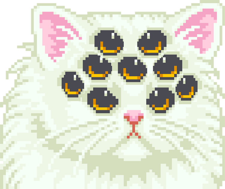 Cute cat gif